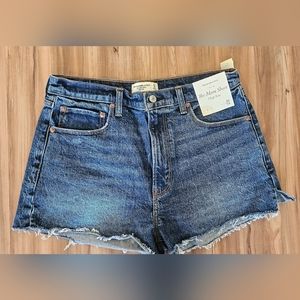 Abercrombie and Fitch "The Mom Short" High Rise
